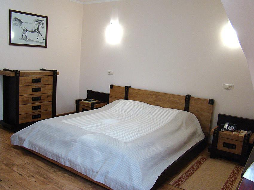Hotel Zolota Pidkova Kozlin 객실 사진